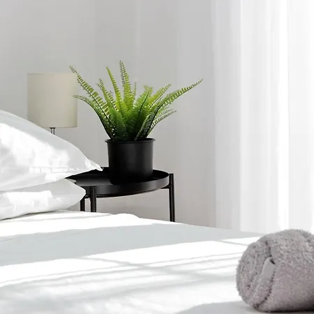 Guest house Zucchi Rome